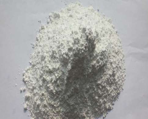 ̼���}�Ļ��W(xu��)���|(zh��)��B